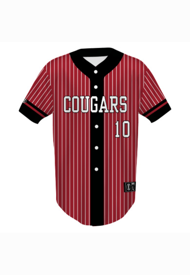 Youth Sublimated Full-Button Baseball Jersey Thumbnail