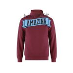 Adult Unisex 1/4 Zip Sweatshirt Thumbnail